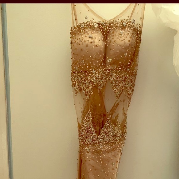 Classic Nude Sheer Sequin Dress - Picture 1 of 5
